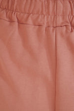 Load image into Gallery viewer, In The Zone Stripe Shorts // Pink